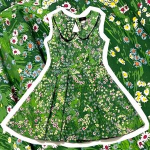 Nooworks Green Floral Meadow Peter Pan Dress size L
